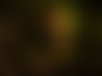 Southeast Asia Losing Tigers as Deadline Looms to Double Population by 2022