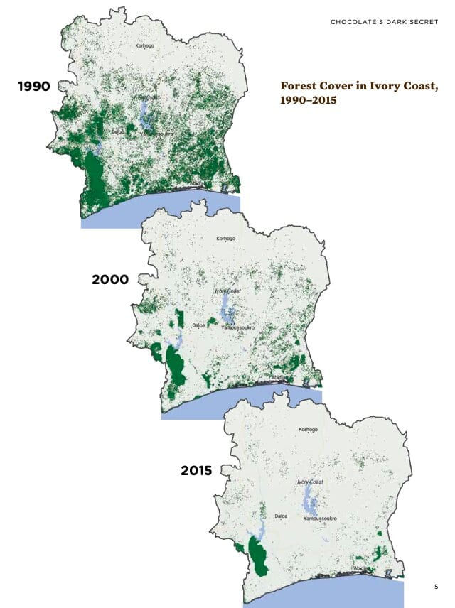 cocoa and deforestation