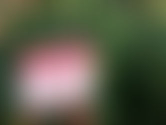 Agriculture Companies Are Using AI to Create Sustainable Pesticides