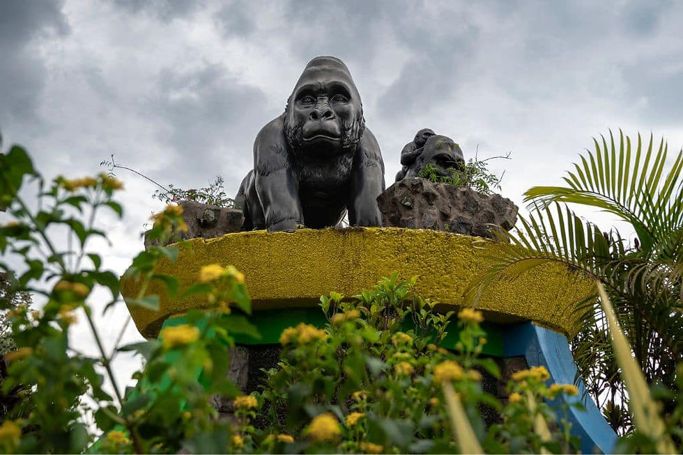 gorilla roundabout in Kigali, Rwanda.