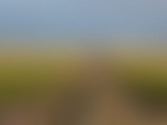 The Dakota Access Pipeline has Been Ordered to Temporarily Shut Down