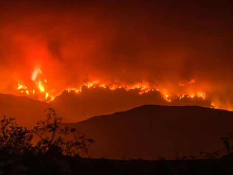 How Forest Restoration Can Reduce the Threat of Wildfires