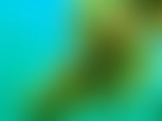 Scientists in Costa Rica Are Growing New Corals to Save Reefs