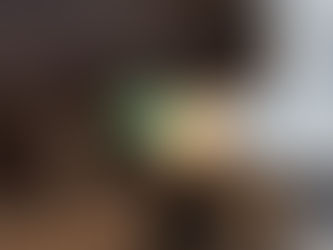 Could Biofuels Do More Harm Than Good?