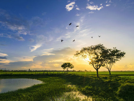 What are Natural Resources?