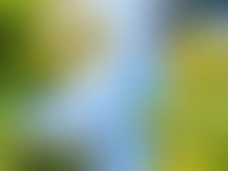 5 Great Platforms to Reduce Company Carbon Footprint