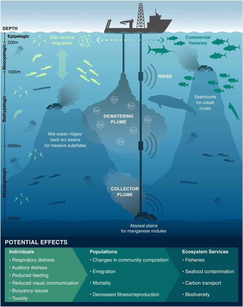 Mining-generated sediment plumes and noise have a variety of possible effects on pelagic taxa. (Organisms and plume impacts are not to scale.) Image credit: Amanda Dillon.