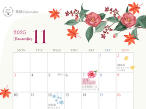 【フリー素材】養生カレンダー 2025年11月