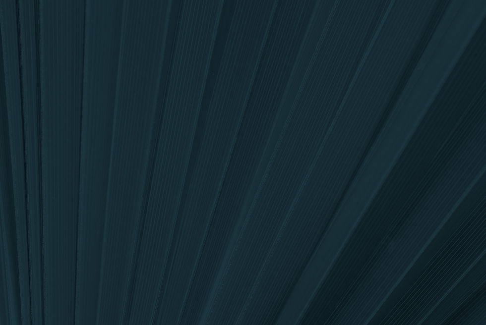 Our Blog Woodhouse Spa Gainesville