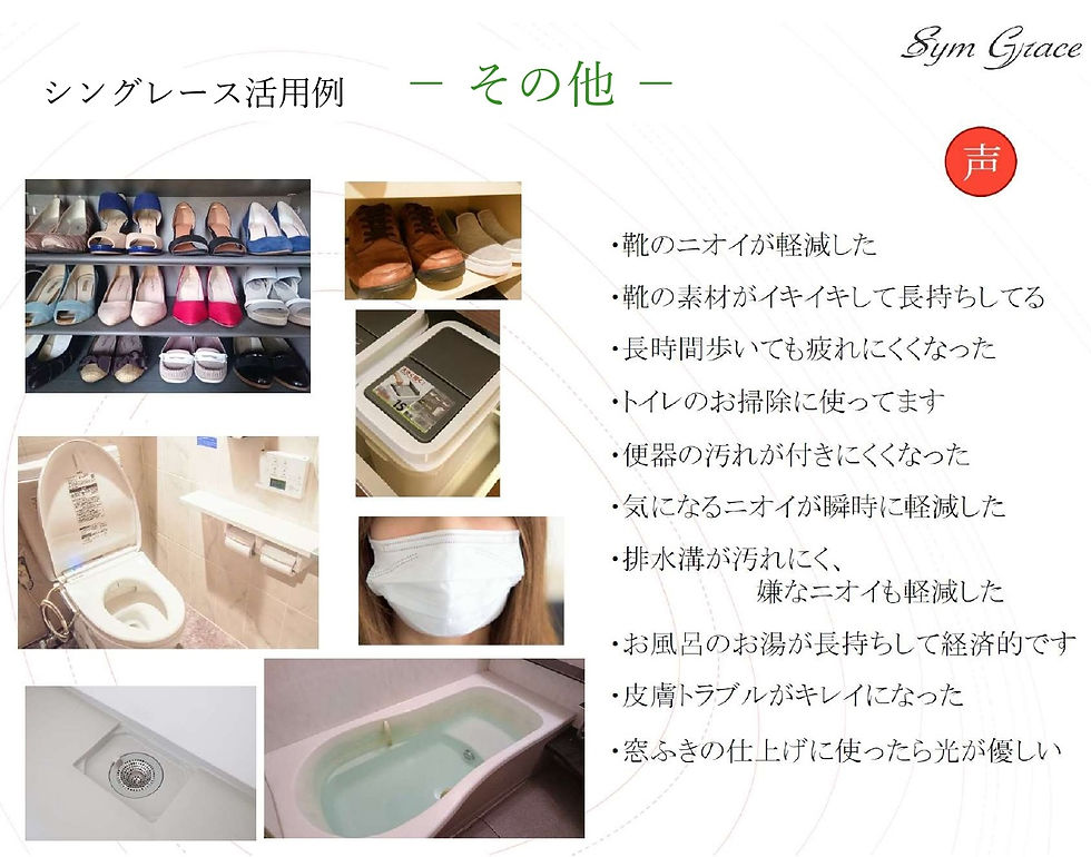 サムネイル： シングレース