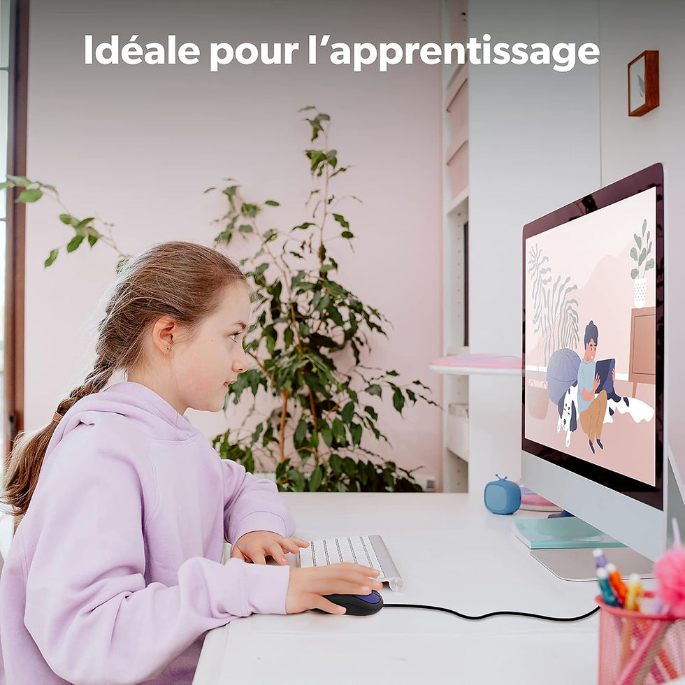 Miniature : Souris spécial dys USB bicolore