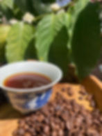 image5 (5).jpeg