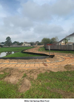 WOS-West pond-3.11.2020