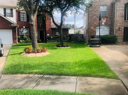 July 2021 - Yard of the Month