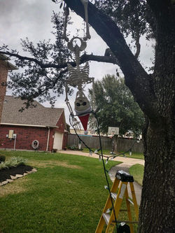 10847WhiteOakTraceCt