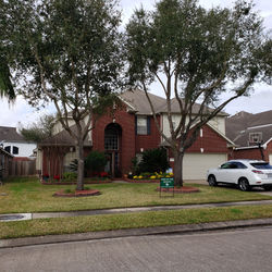 January 2021 - Yard of the Month