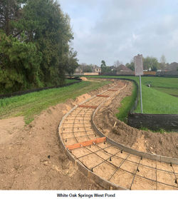 WOS-West pond -3.11.2020