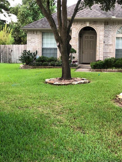 September 2020 - Yard of the Month