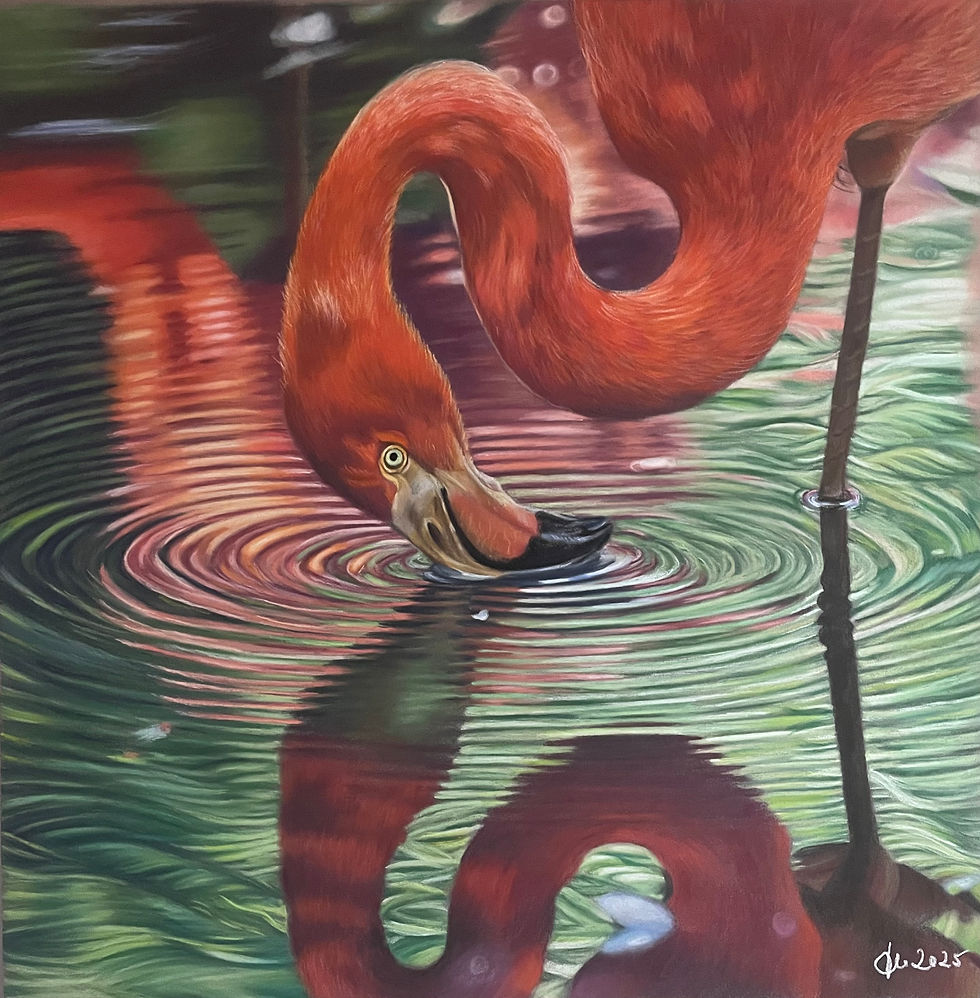 Flamingo reflections