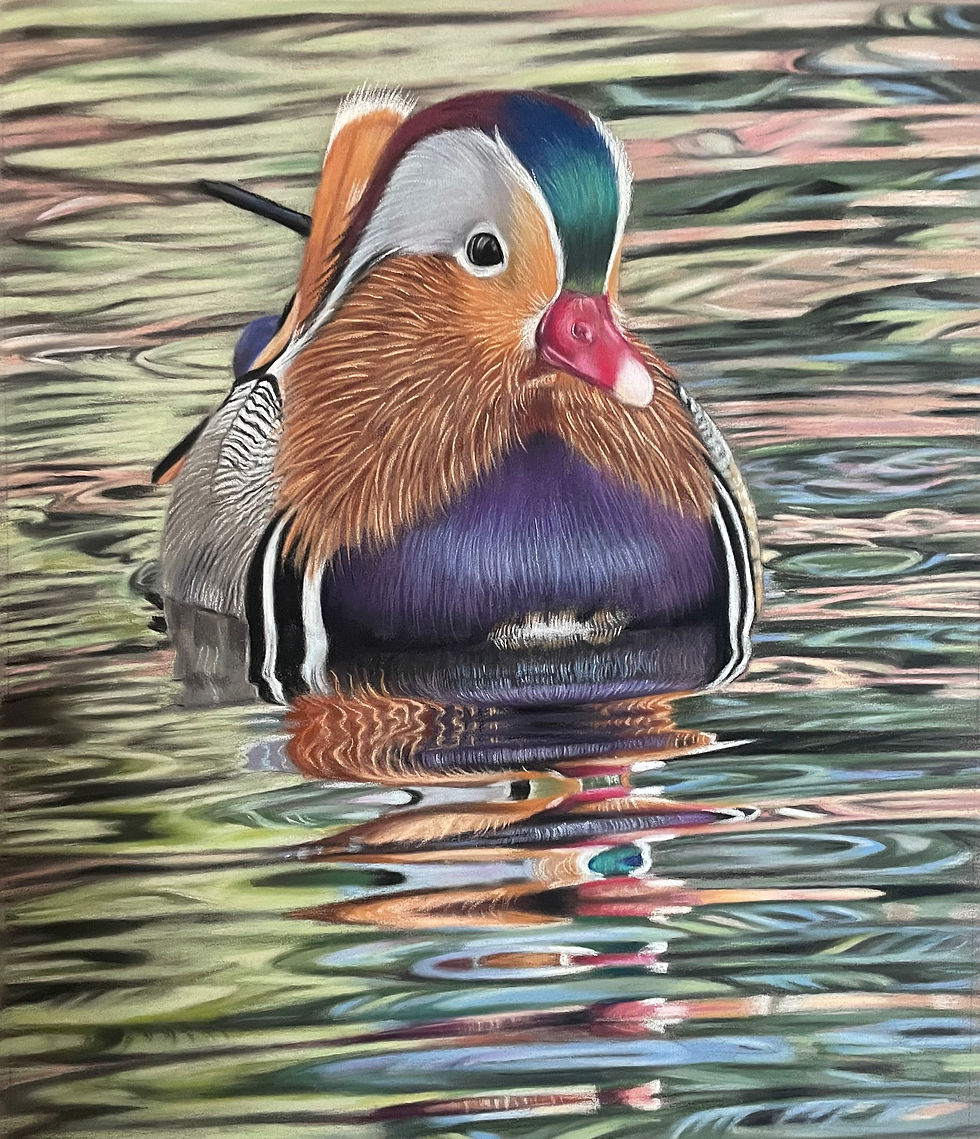 Mandarin reflections