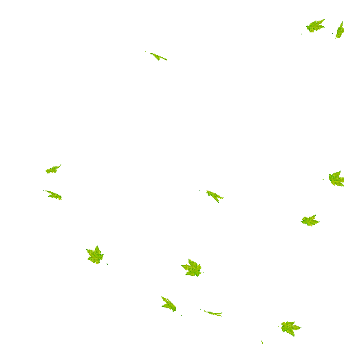 Gorgeous falling plant leaves