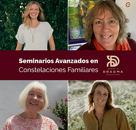 International Online Seminar Series
(In collaboration with Espacio Dragma, Argentina)