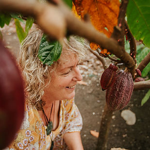 SolomonIslands_Cacao__manaakimedia-7785 (1).jpg