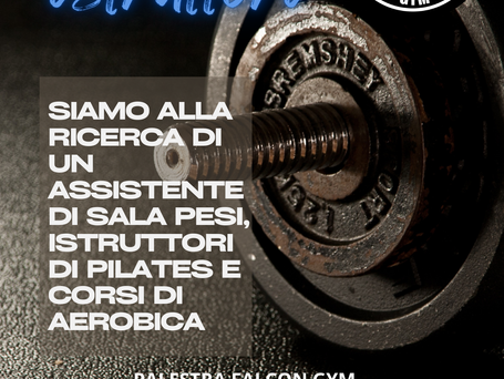 Falcon Gym è alla ricerca di Istruttori