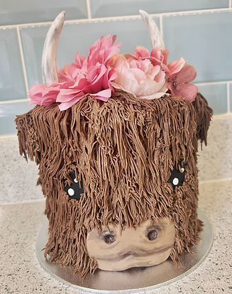 thumbnail_image15 (1).jpg