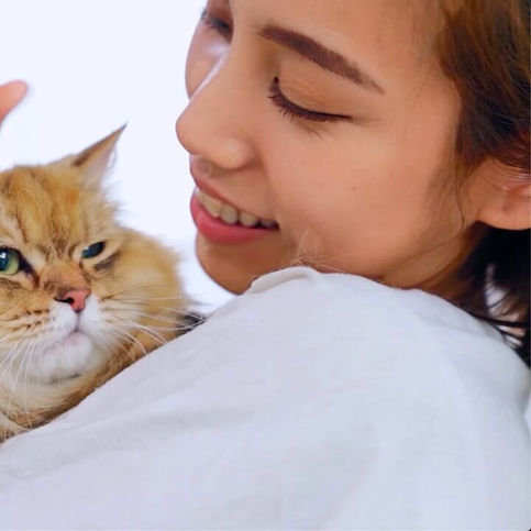 希爾思Hills 寵物食品形象廣告｜品牌形象片