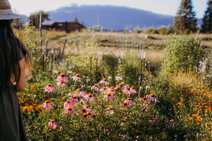 Woman walks through herb garden