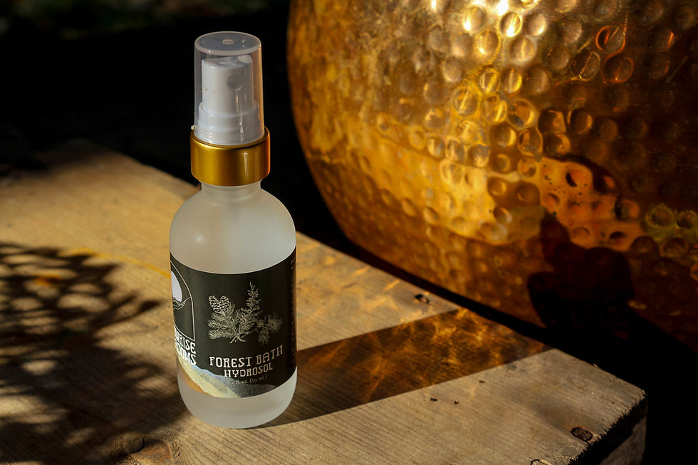 Thumbnail: Forest Bath Hydrosol