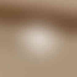 Minimalist brand seal sticker design for Studio Noir on kraft envelope in warm natural lighting.