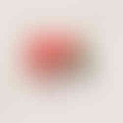 Vibrant Business Jane brand stationery mockup with floral imagery and embossed coral envelope for lifestyle entrepreneurs.