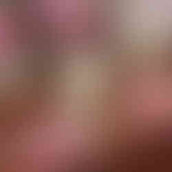 Modern feminine brand identity mockup for The Business Jane with soft color scheme, typography, and branded assets.