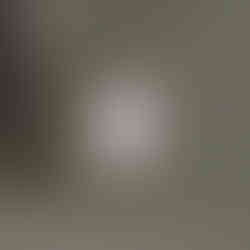 Elegant neutral-toned brand identity video for Bailey Eight with custom logo, color palette, and brand collateral.