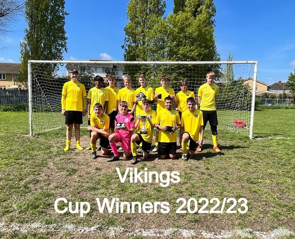 Vikings_edited