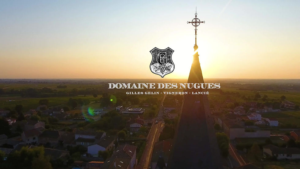 Thumbnail: Domaine des Nugues Beaujolais Villages Rouge 2020