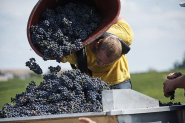 Thumbnail: Domaine des Nugues Beaujolais Villages Rouge 2020