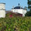 Thumbnail: Chateau Corbin Montagne Saint Emilion 2016
