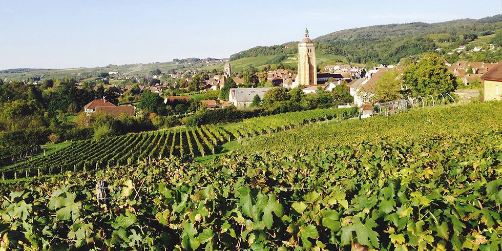 Thumbnail: Heritage de Calcaire Arbois Blanc Savagnin 2019