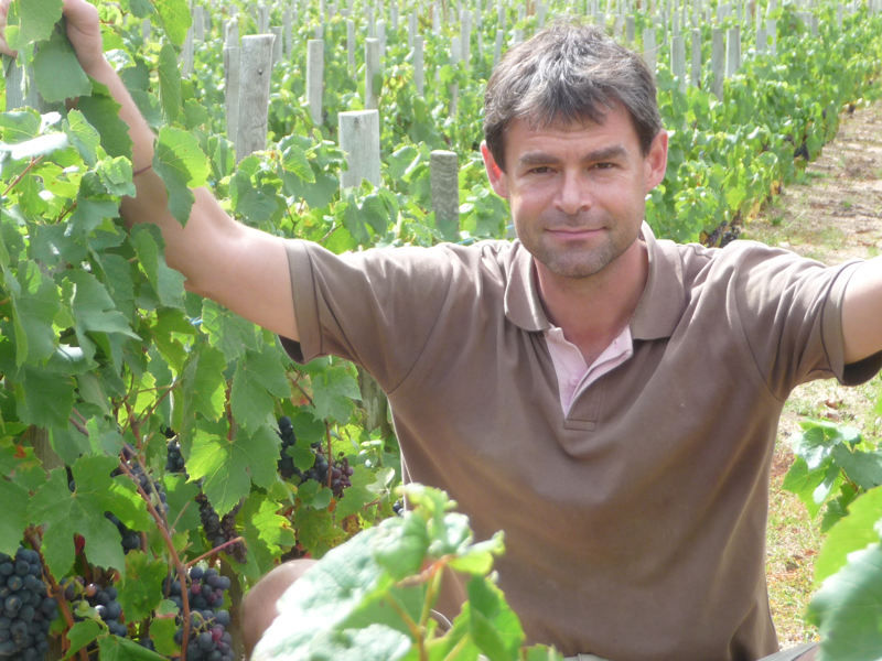 Thumbnail: Domaine Les Capreoles Chamodere Regnie 2021