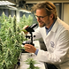 professor_der_mit_einem_mikroskop_eine_cannabispflanze_auf_ihre_qualität_überprüft