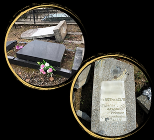 Сайт2, копия, копия, копия (1).png