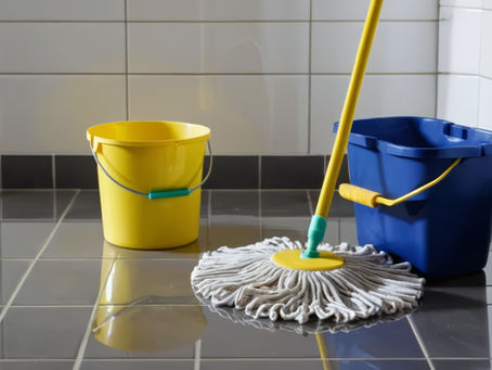 Expert Janitorial Services