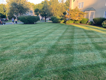 Enhance Your Yard With Christman Landscape