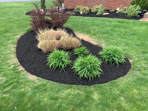 Personalized Professional Planting Solutions
