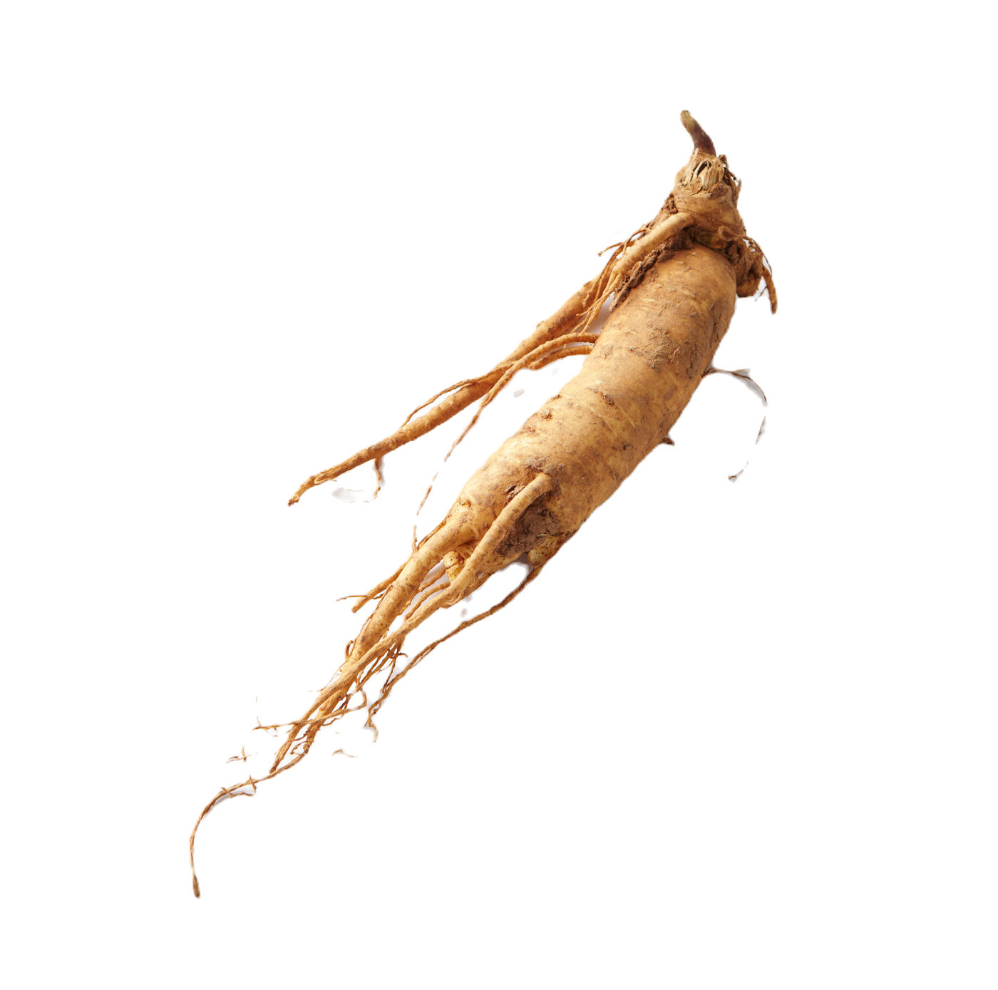 Poudre de ginseng 200 g TAM-TAM DELICES