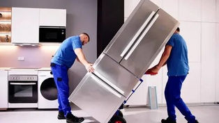 Professional White Goods Disposal Techniques For Regional Household Upgrades
