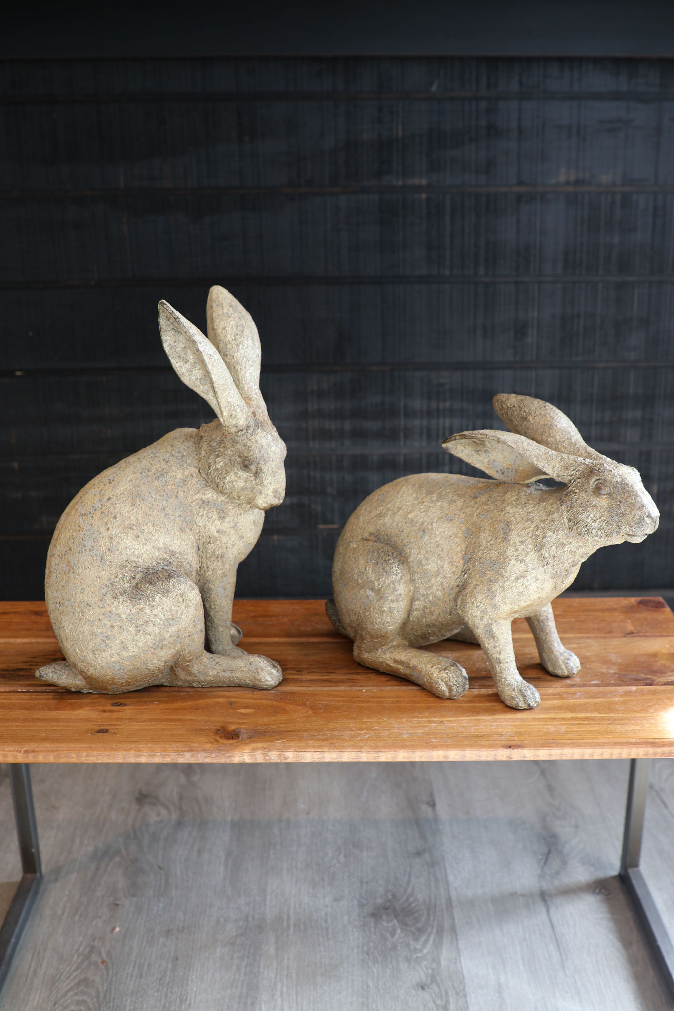 Gold Rabbit Laying Down